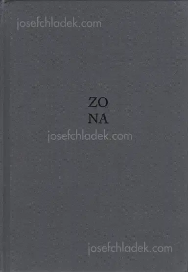 Nuno Moreira - ZONA Nuno Moreira - ZONA