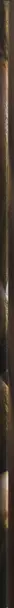 Book spine: Satoshi Fujiwara - Code Unknown