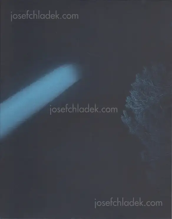 Cover of Geert Goiris - Prophet