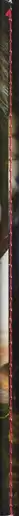 Book spine: Vicente Paredes - Pony Congo