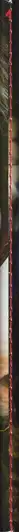 Book spine: Vicente Paredes - Pony Congo