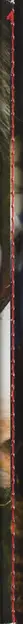 Book spine: Vicente Paredes - Pony Congo