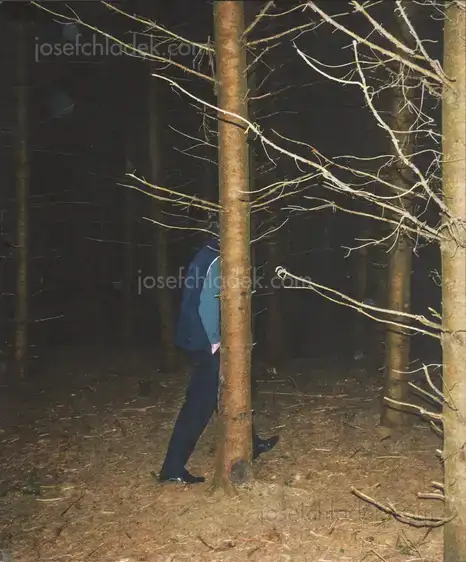 Cover of Cedric Van Turtelboom - Noroc