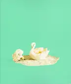 Eugenia Maximova - Associated Nostalgia