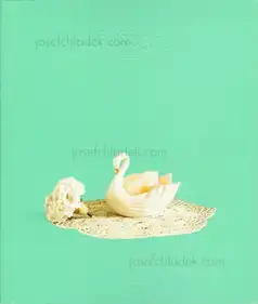 Eugenia Maximova - Associated Nostalgia