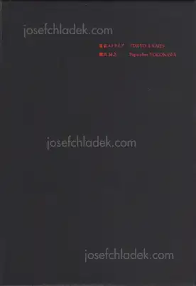 Cover of Tatsuyuki Yokokawa (Papa-Chat Yokokawa) - Tokyo a Raies (横川辰之 東京ストライプ)      .