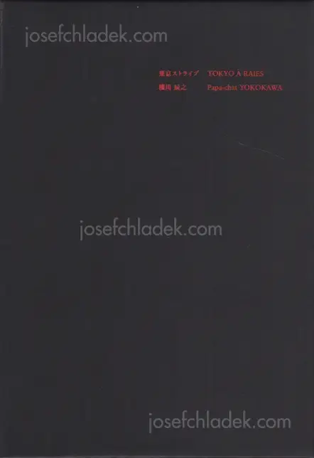 Cover of Tatsuyuki Yokokawa (Papa-Chat Yokokawa) - Tokyo a Raies (横川辰之 東京ストライプ)      .