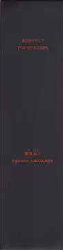 Tatsuyuki Yokokawa (Papa-Chat Yokokawa) - Tokyo a Raies (横川辰之 東京ストライプ)      .