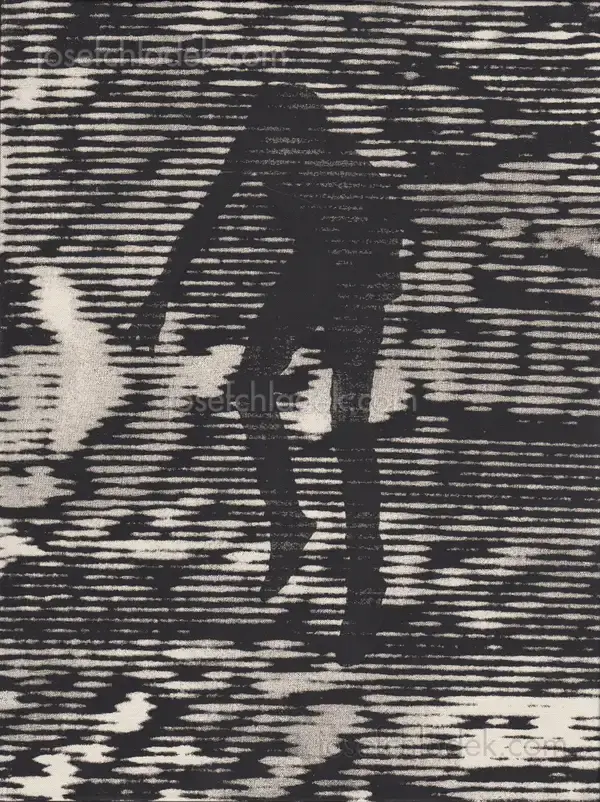 Cover of Moises Saman - Discordia