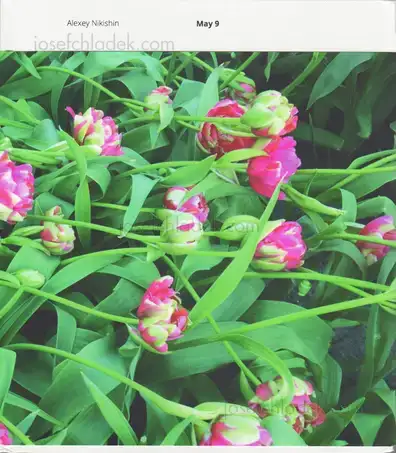 Cover of Alexey Nikishin - May 9
