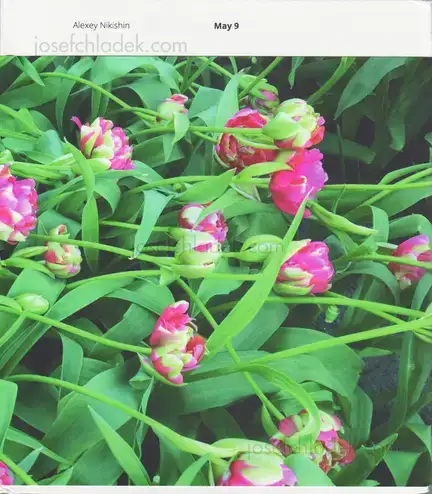 Cover of Alexey Nikishin - May 9