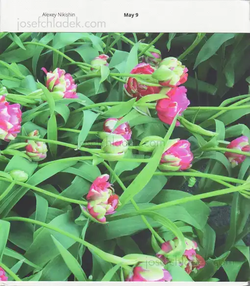 Cover of Alexey Nikishin - May 9