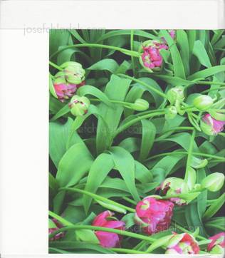  Alexey Nikishin - May 9 (Back)