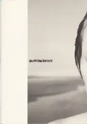 Carine Wallauer - O Vazio é um Espelho