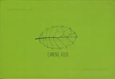 Cover of Jesús Blesa - Camino Viejo