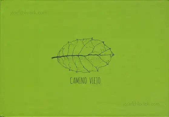 Cover of Jesús Blesa - Camino Viejo