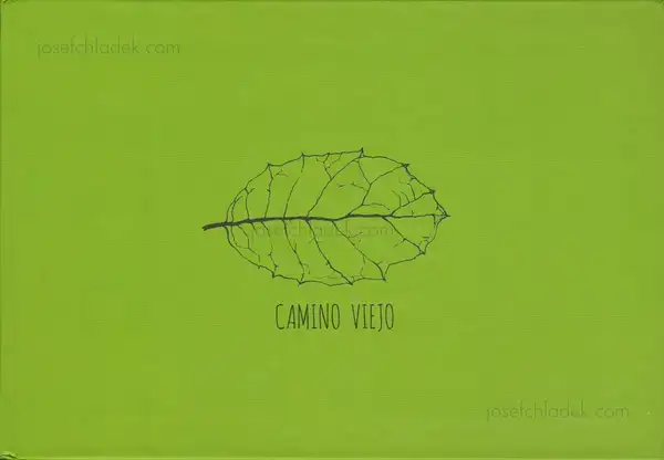 Cover of Jesús Blesa - Camino Viejo