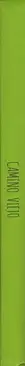 Book spine: Jesús Blesa - Camino Viejo