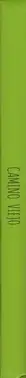 Book spine: Jesús Blesa - Camino Viejo