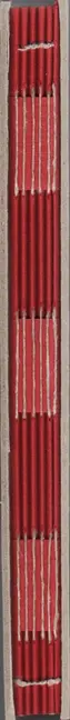 Book spine: Julia Borissova - Dimitry