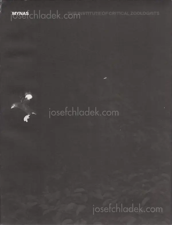 Cover of Robert Zhao Renhui - Mynas