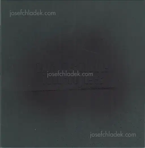 Cover of Ieva Balode - Invisible Images