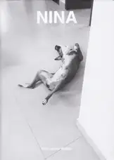 Erik van der Weijde - Nina