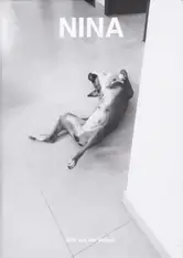 Erik van der Weijde - Nina