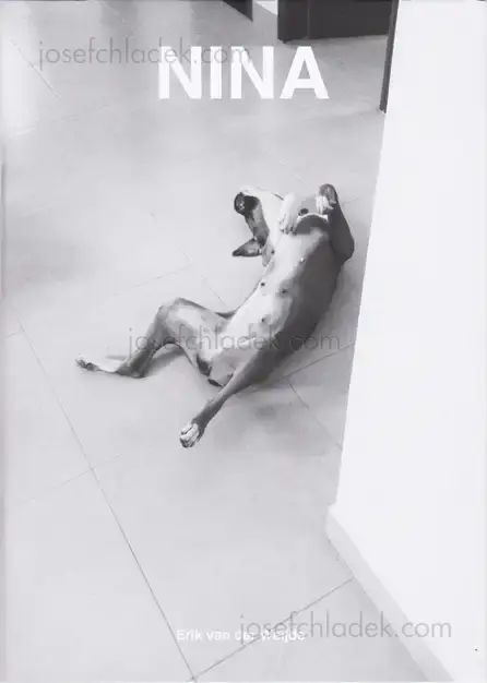 Cover of Erik van der Weijde - Nina