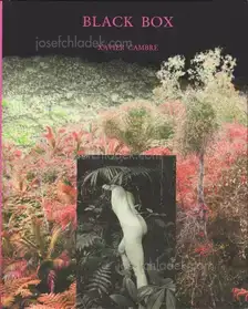 Xavier Cambre - Black Box