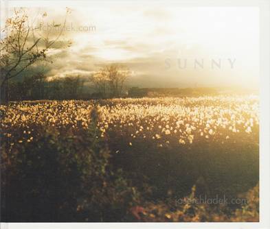  Hiroki Matsui - Sunny (Front)