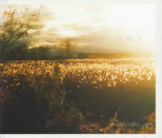 Cover of Hiroki Matsui - Sunny