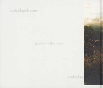  Hiroki Matsui - Sunny (Back)