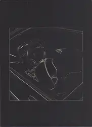 Attilio Solzi - The Car