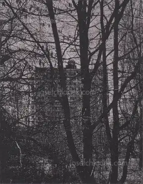 Cover of Arthur Bondar - Shadows of Wormwood