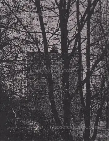 Cover of Arthur Bondar - Shadows of Wormwood