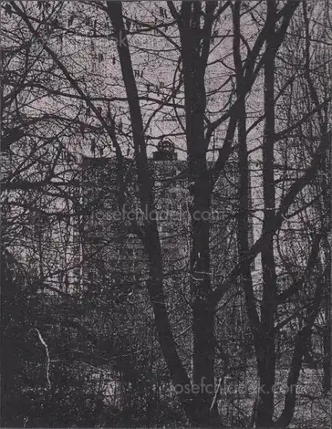 Cover of Arthur Bondar - Shadows of Wormwood