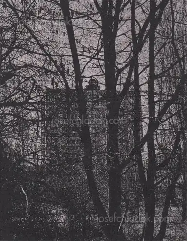 Arthur Bondar - Shadows of Wormwood Arthur Bondar - Shadows of Wormwood