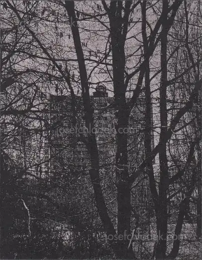 Cover of Arthur Bondar - Shadows of Wormwood