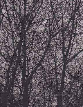  Arthur Bondar - Shadows of Wormwood (Back)