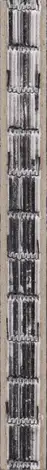 Book spine: Arthur Bondar - Shadows of Wormwood