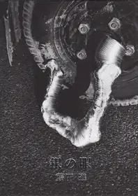 Susumu Fujita - Silver Eye 銀の眼