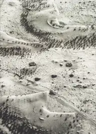 Davide Palmisano - Timeless Persia