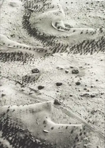 Cover of Davide Palmisano - Timeless Persia