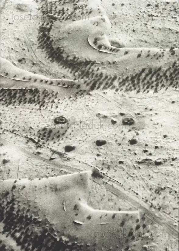 Cover of Davide Palmisano - Timeless Persia