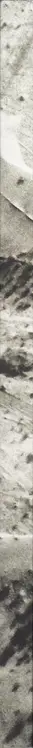 Book spine: Davide Palmisano - Timeless Persia