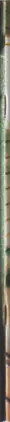 Book spine: Neil Thain-Gray - Personal Space