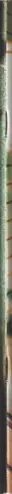 Book spine: Neil Thain-Gray - Personal Space