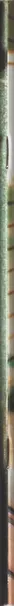 Book spine: Neil Thain-Gray - Personal Space