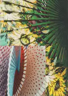 Ana Zaragoza - Cádiz: CÁDIZ, The Oldest City